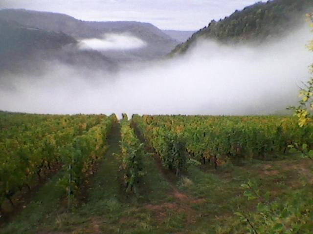 Maison Isolee Dans Les Vignes Et Les Bois Valady Екстериор снимка
