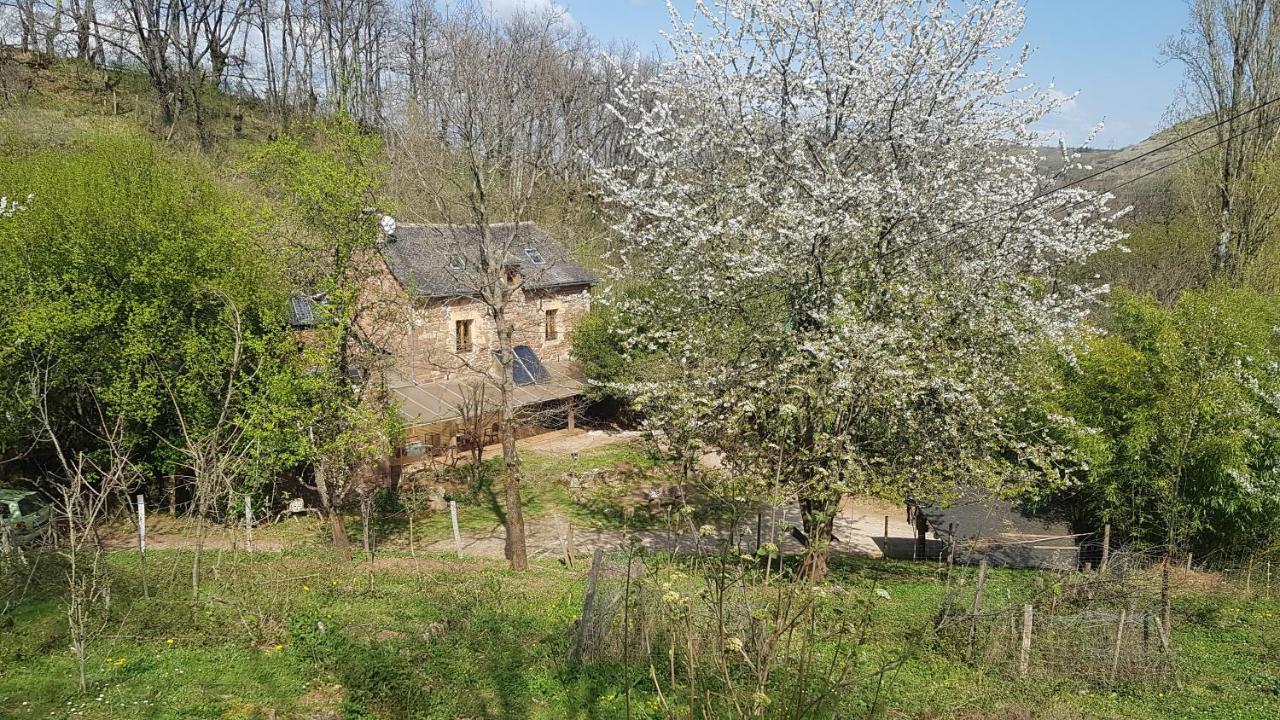 Maison Isolee Dans Les Vignes Et Les Bois Valady Екстериор снимка