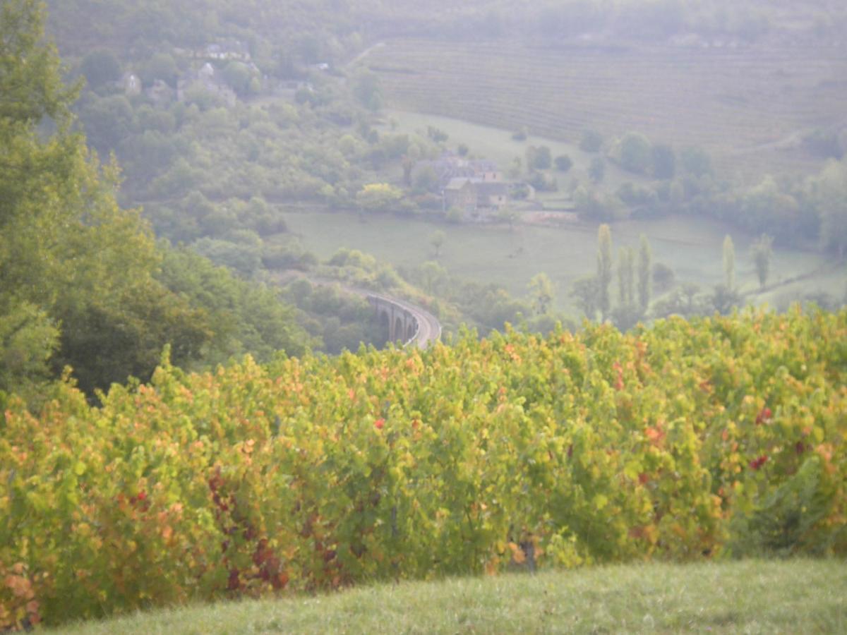 Maison Isolee Dans Les Vignes Et Les Bois Valady Екстериор снимка