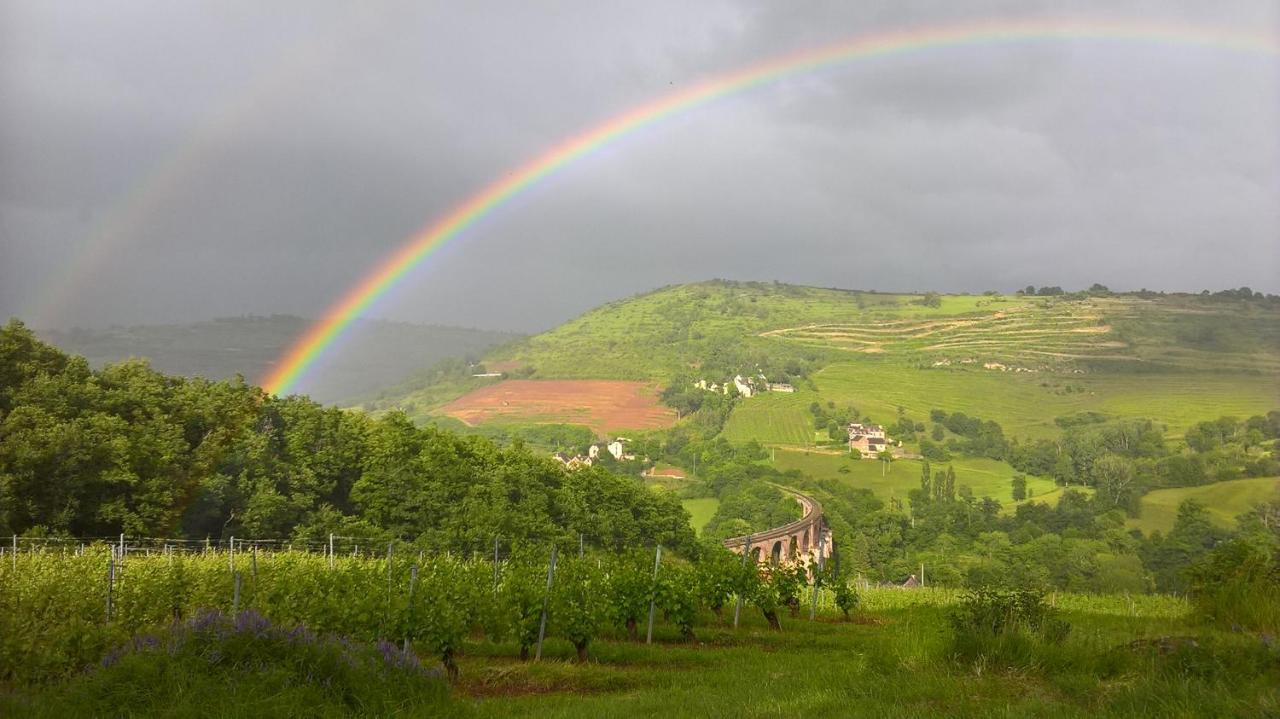 Maison Isolee Dans Les Vignes Et Les Bois Valady Екстериор снимка